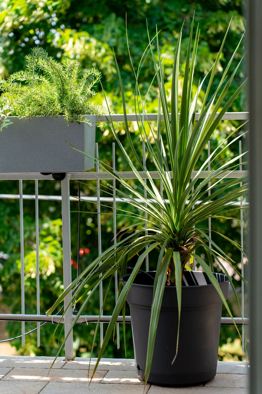 230-Appartamenti-Padova-Officine Cavour-particolari.jpg