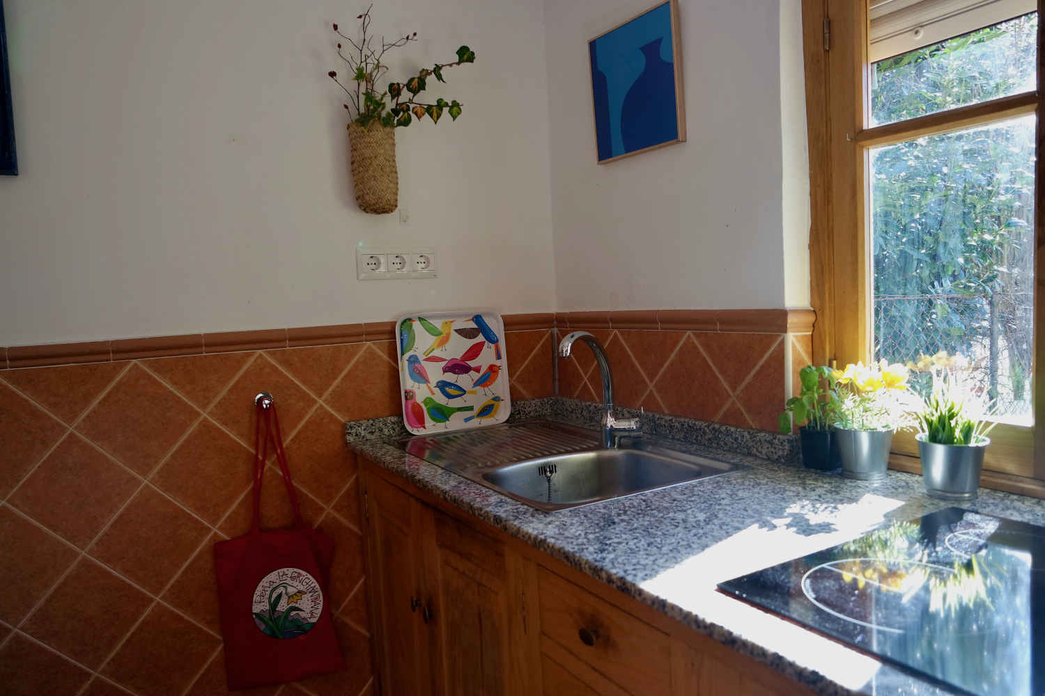 09 apartamento cocina.jpeg