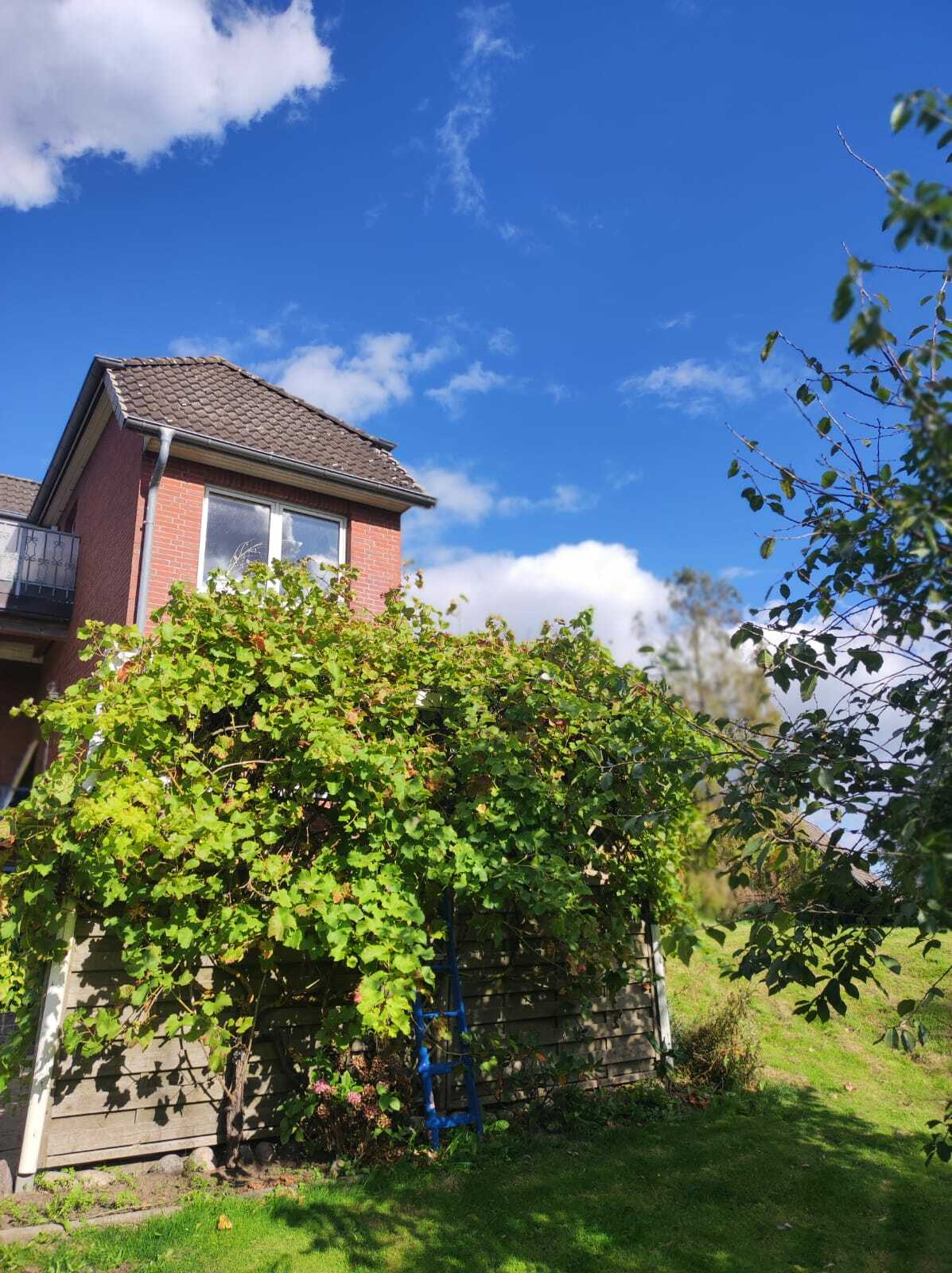 Ferienwohnung- Foto.jpg