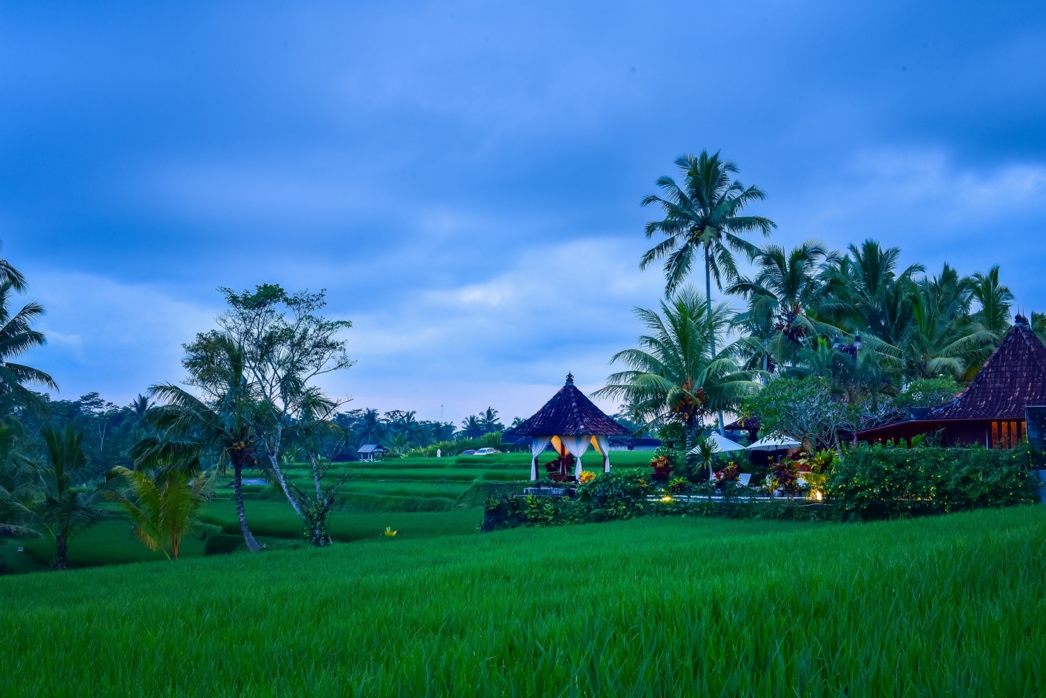 batch_rcu photo 2.jpg