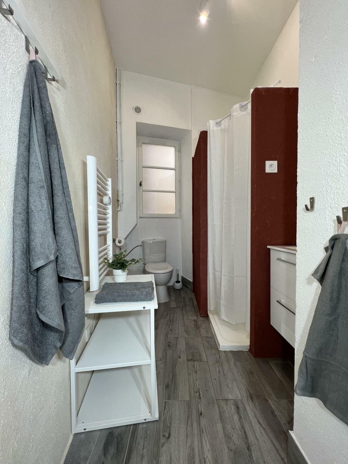 Salle de bains #1.JPG