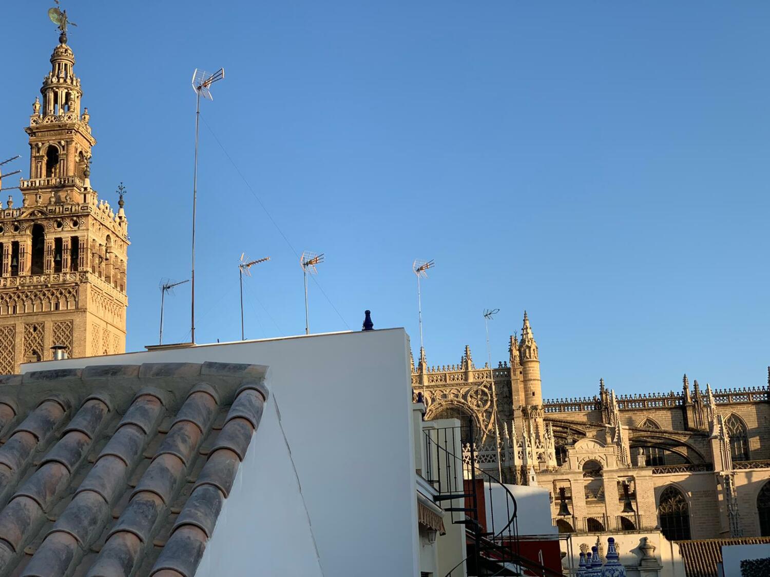 WhatsApp Image 2020-07-29 at 19.40.37.jpeg