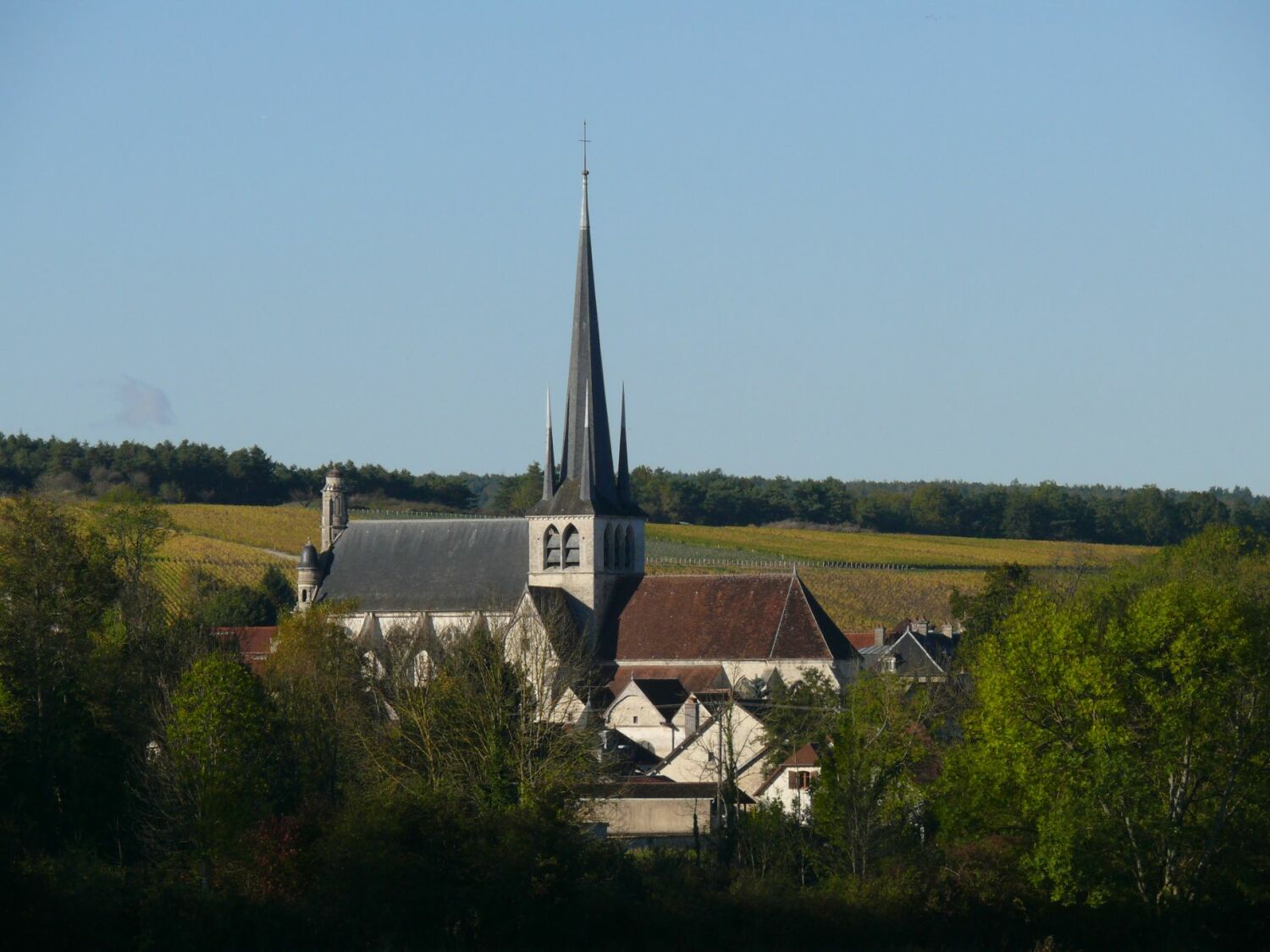 Les_Riceys_-_Église_Saint-Pierre-ès-Liens_-_1.jpg