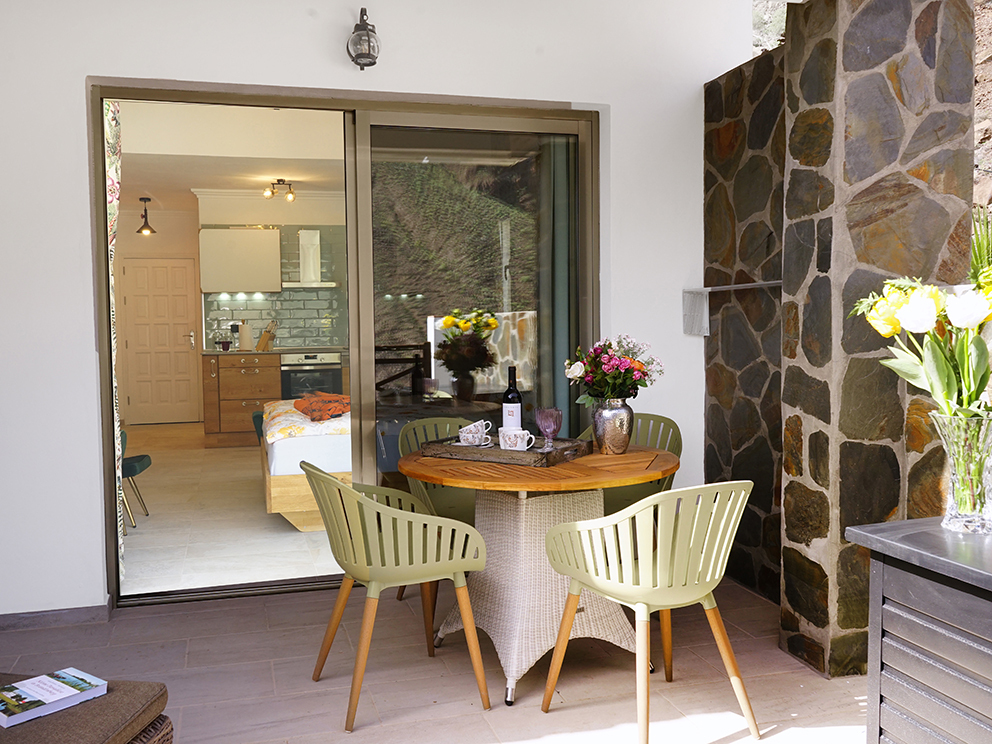 Terrasse Blick herein.jpg