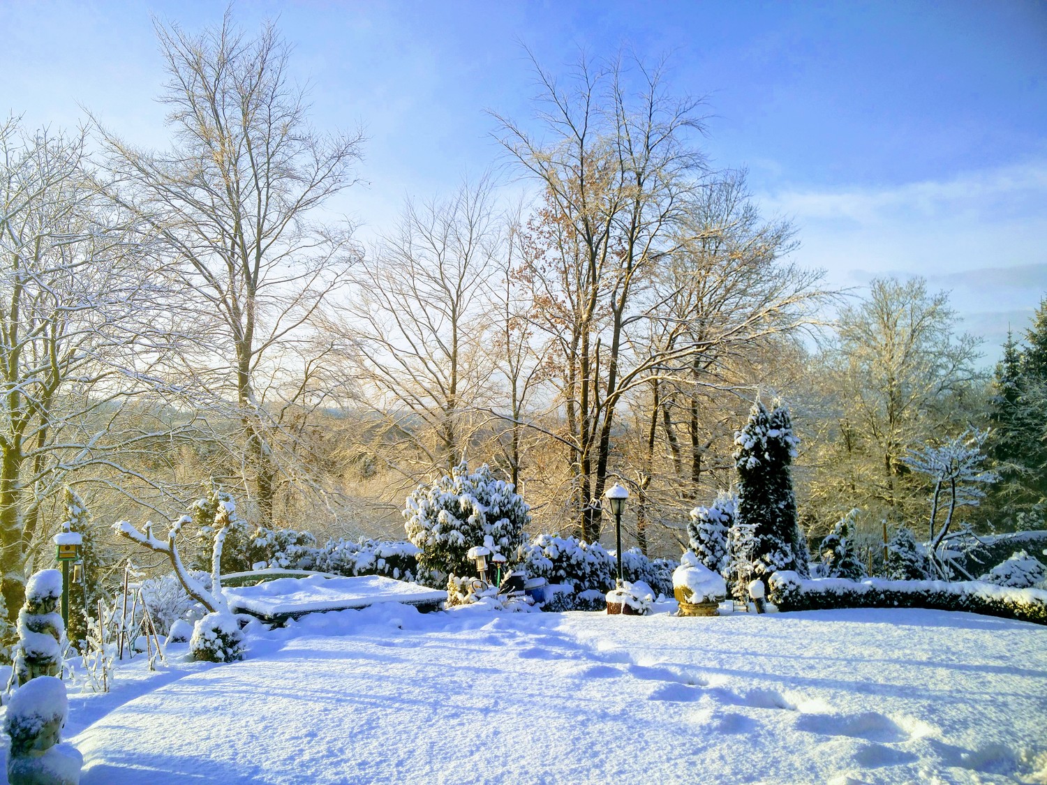 Garten_Winter-01.jpg