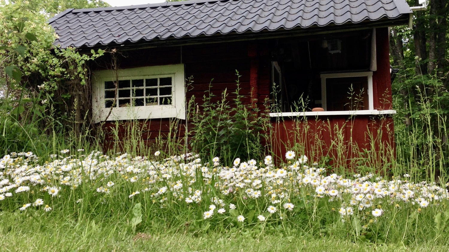 Husarstuga16 - 5 von 22.jpeg