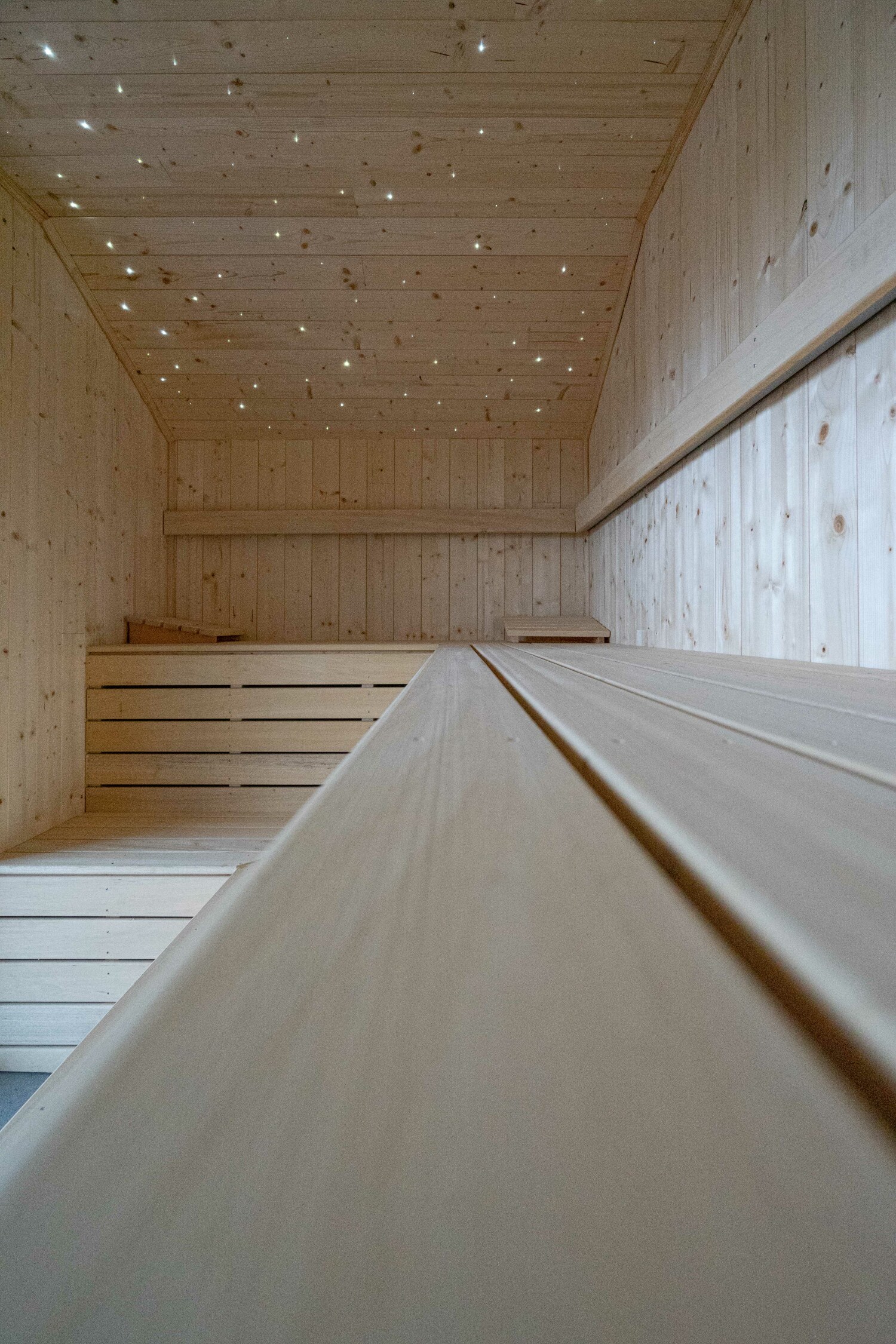 Bridge into the Nature Web-02881.jpg