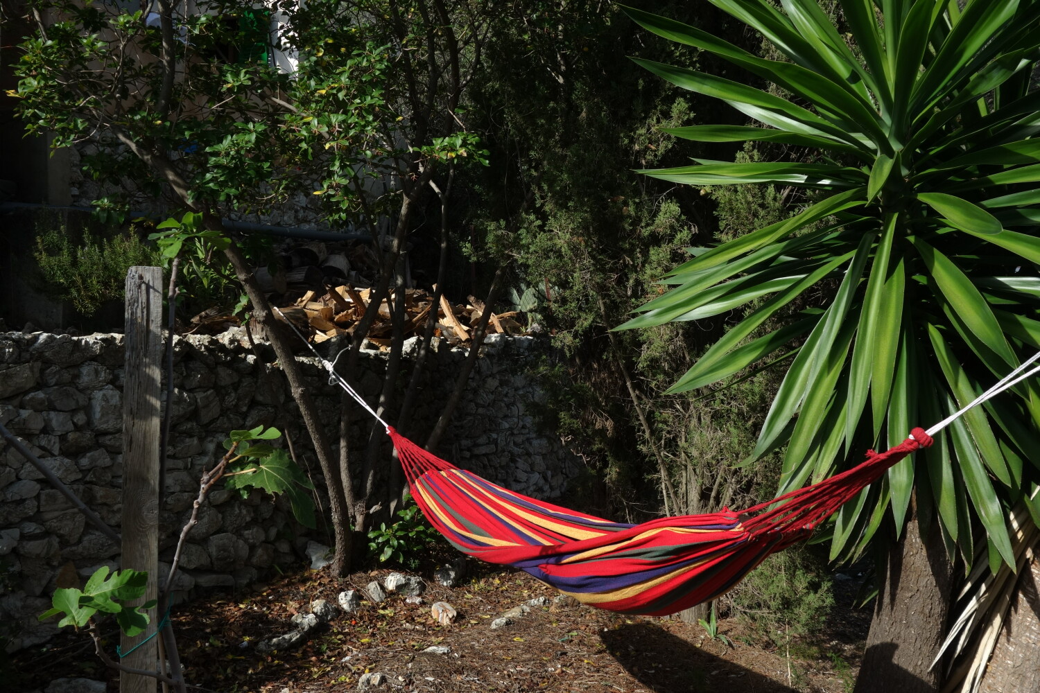 Hängematte.JPG