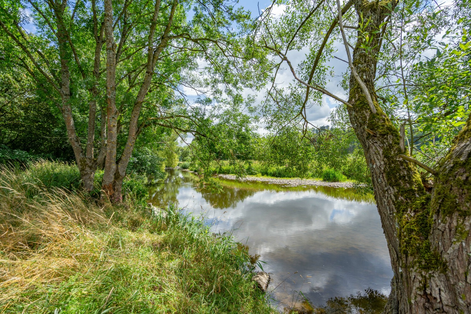 Marcourt web-04985.jpg