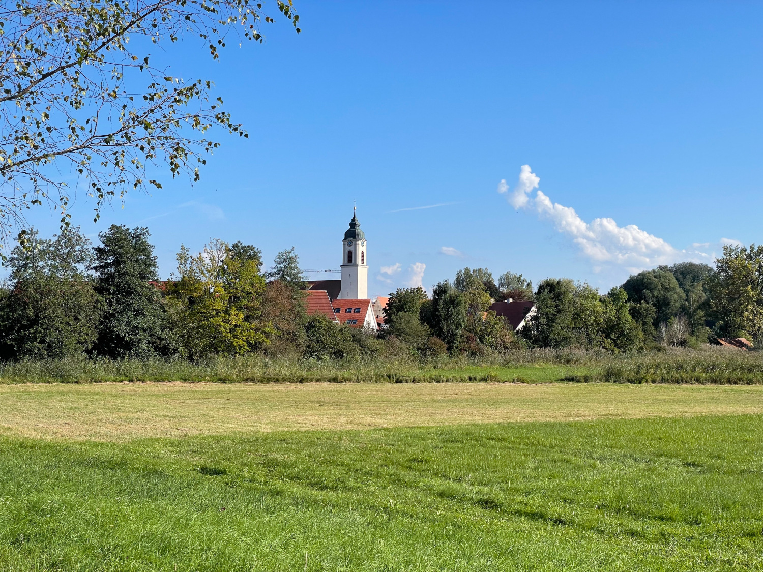 A48092E9-C74E-471E-A747-3814D8052CD9 (1).jpeg