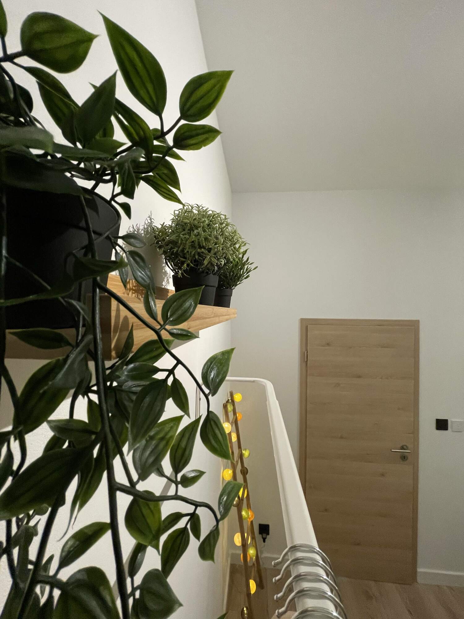 Photo 1-09-21 14 13 28.jpg