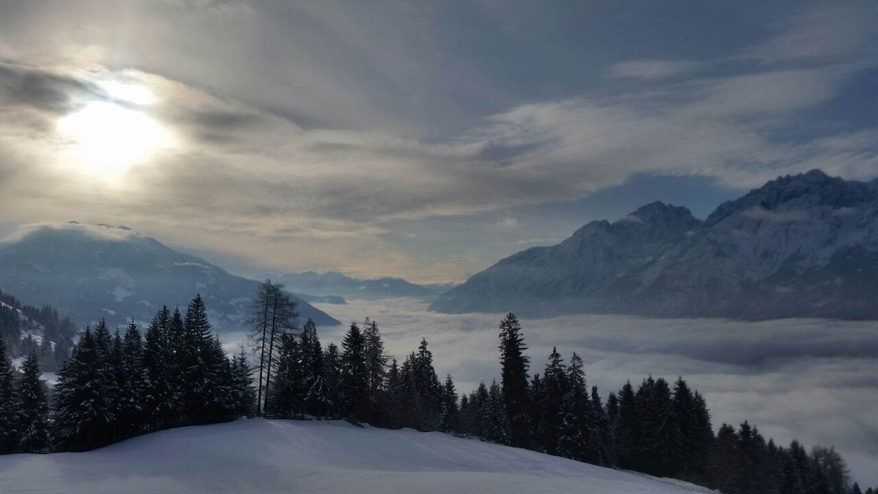 2016-2018 Handy 036.jpg