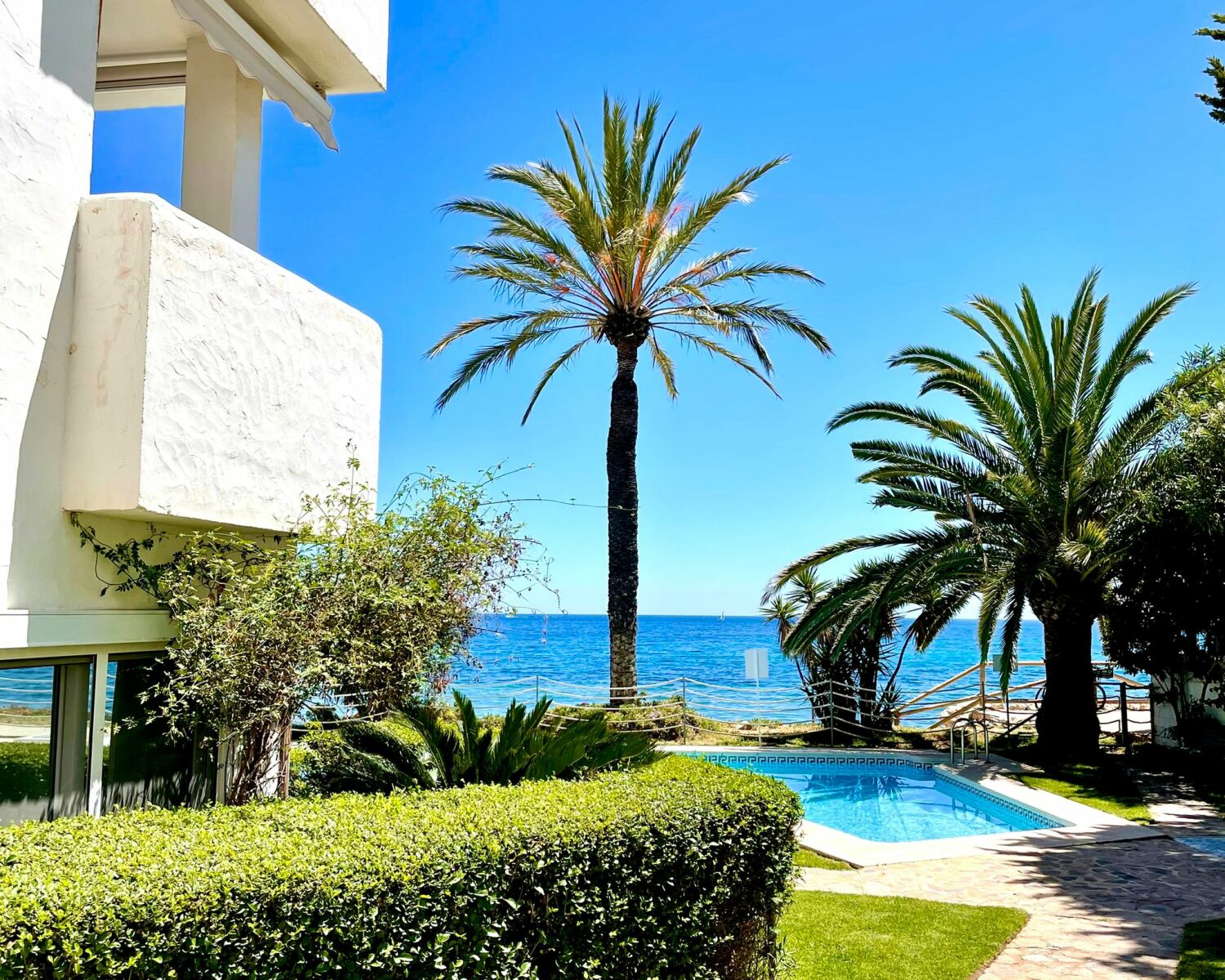 WhatsApp Image 2022-04-29 at 19.54.37.jpeg