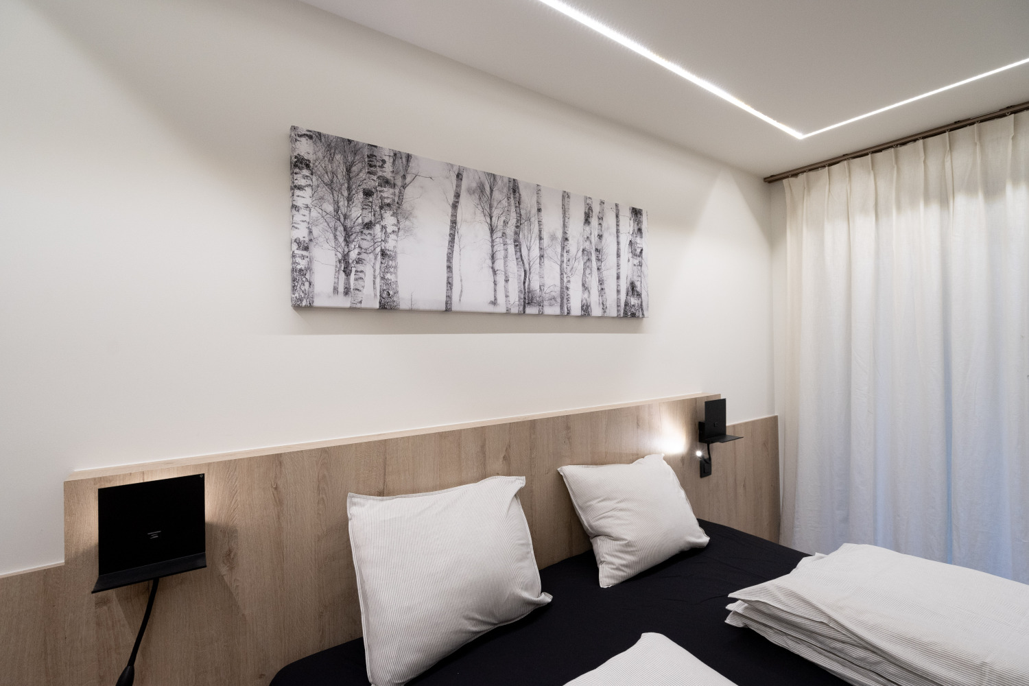 Bridge into the Nature Web-02959.jpg