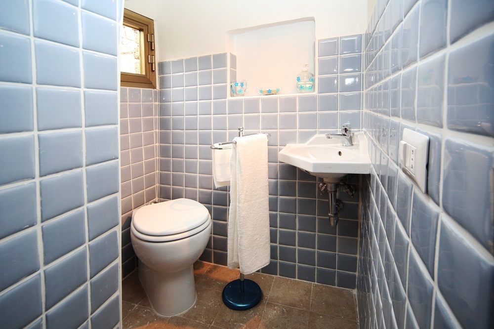 ULIVO C.so Vittorio Emanuele III n.85 Bomarzo (3).JPG