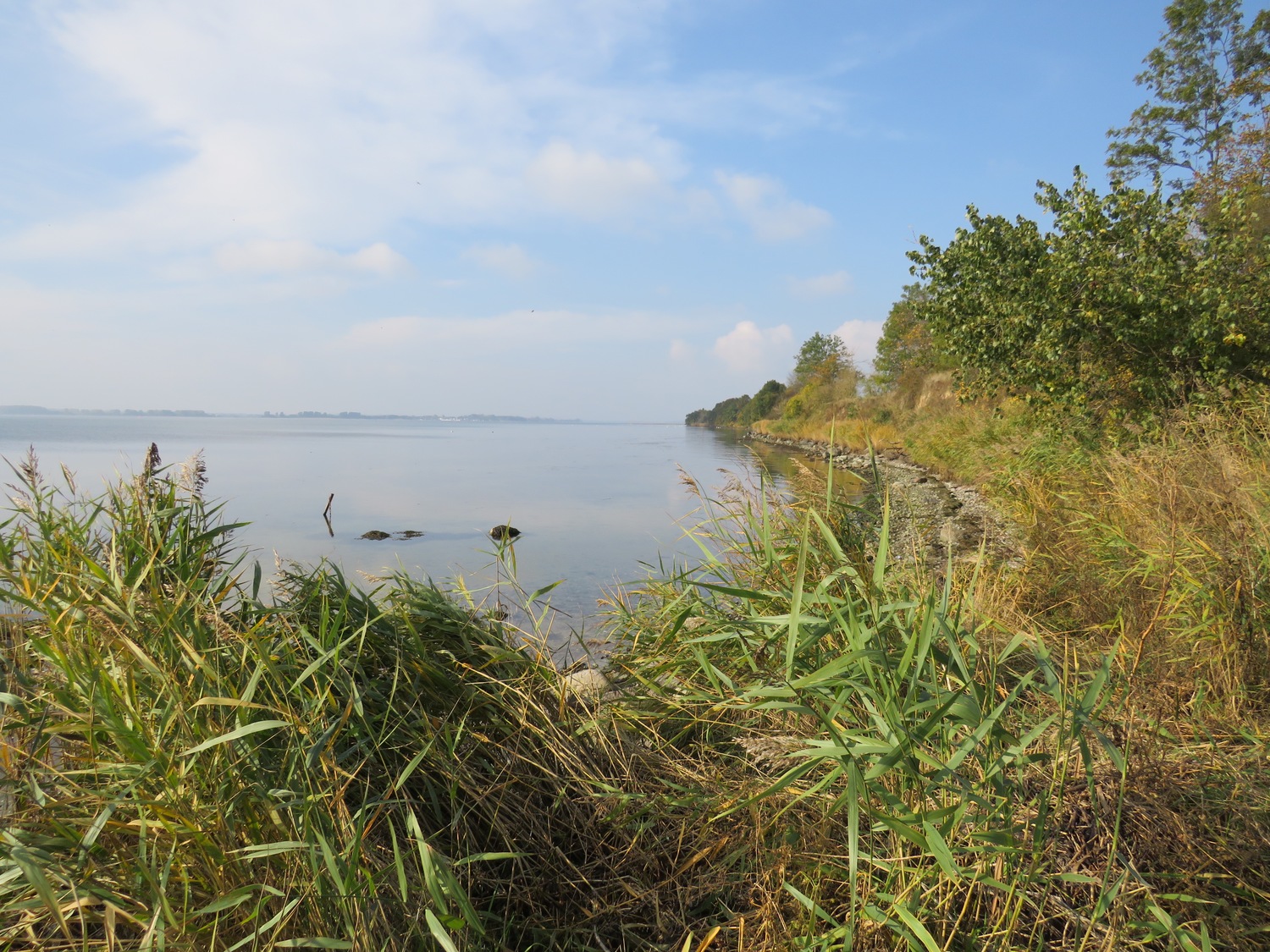 4 Naturstrand am Leuchtturm.jpg.jpg