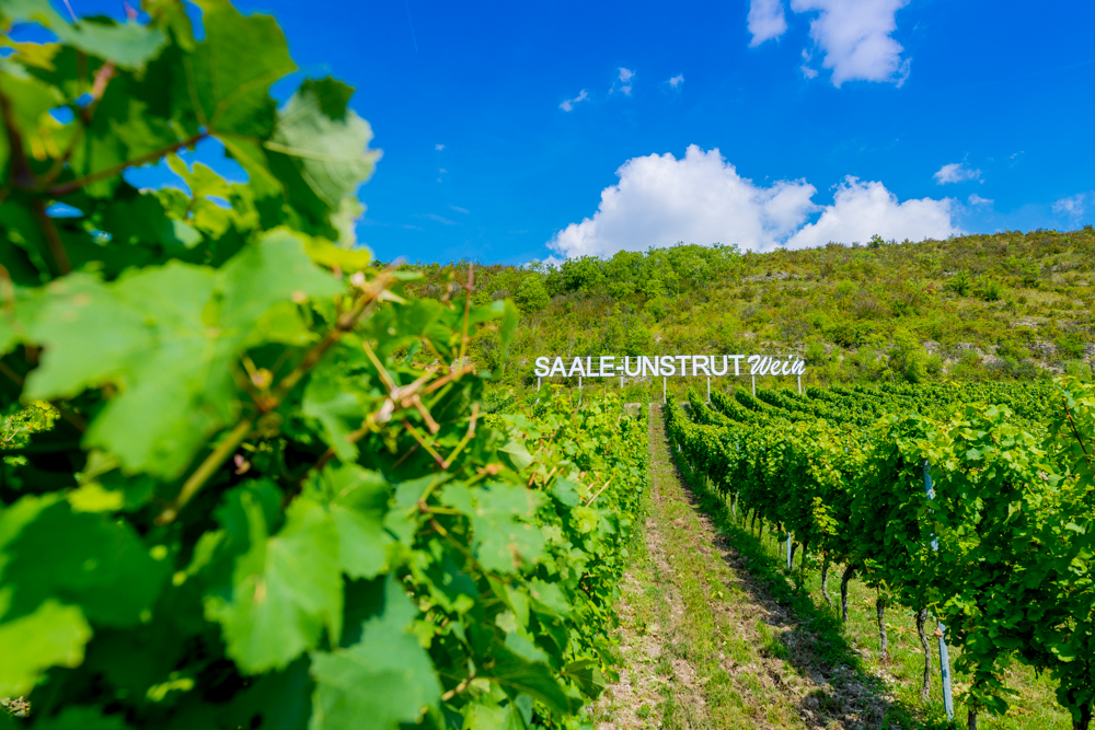 Schriftzug Saale-Unstrut frontal.jpg