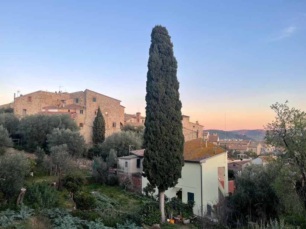 WhatsApp Image 2023-03-16 at 17.58.01.jpeg