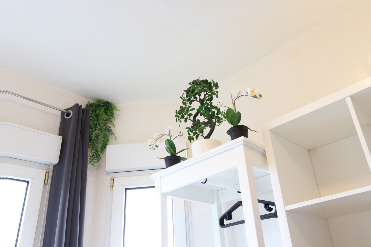 302-room-i-plastic-plants_b.jpg