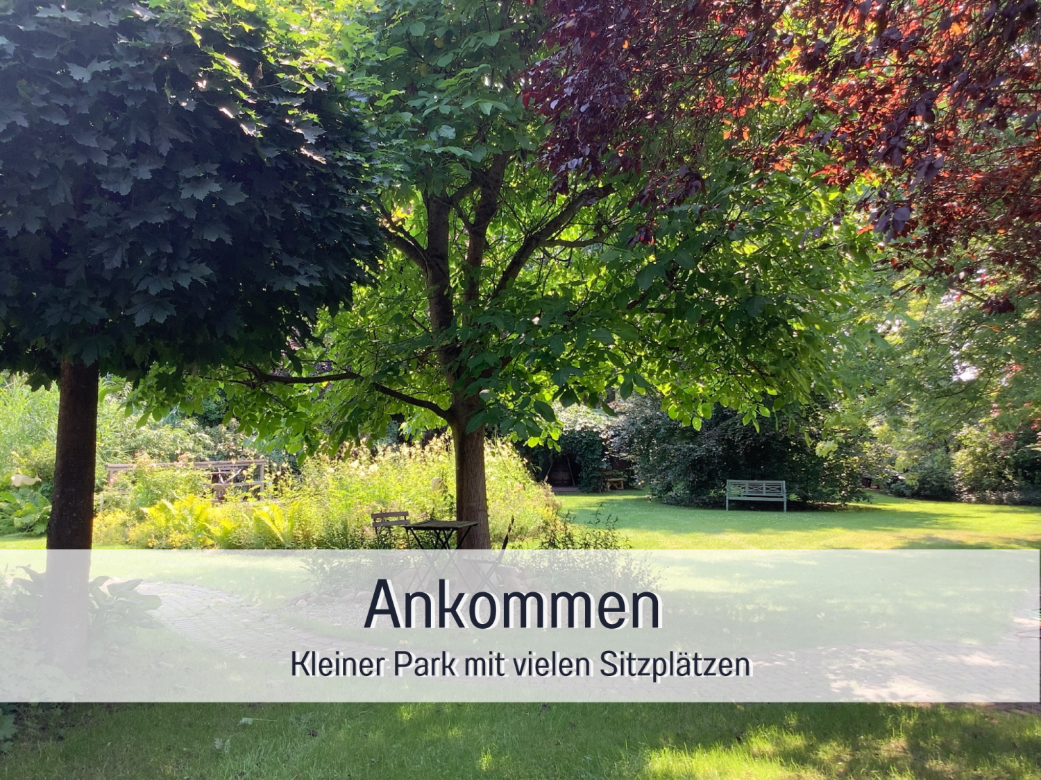 Vorlage für _beschriftet (30).png