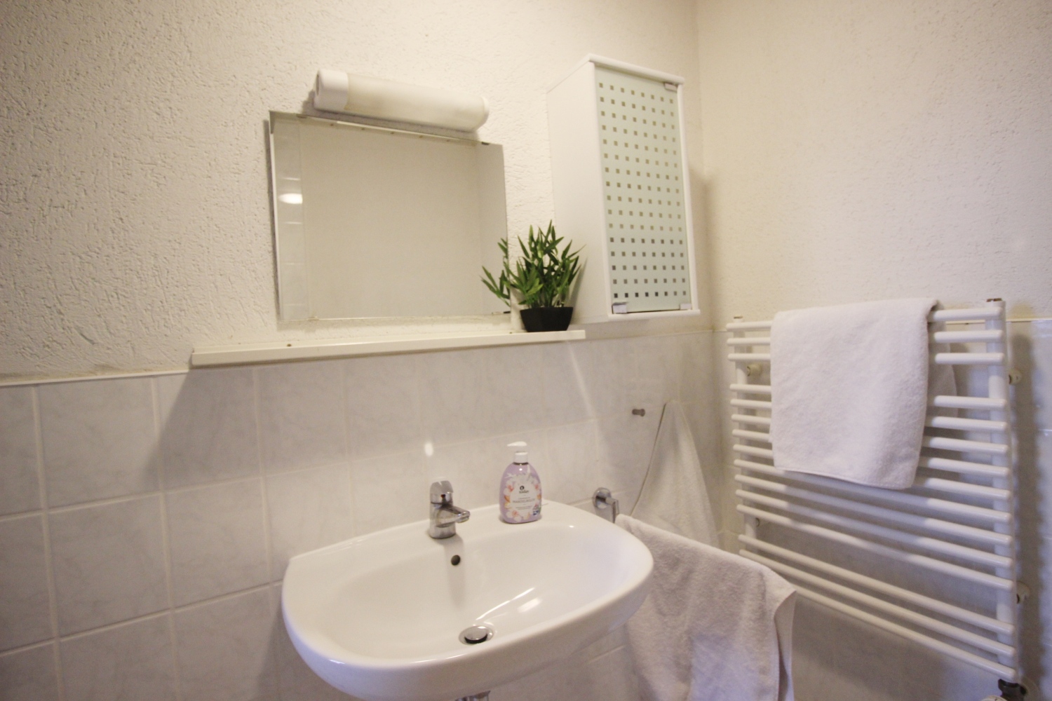 JPEG-Bild-55DD537E2AF6-1 Kopie.jpeg