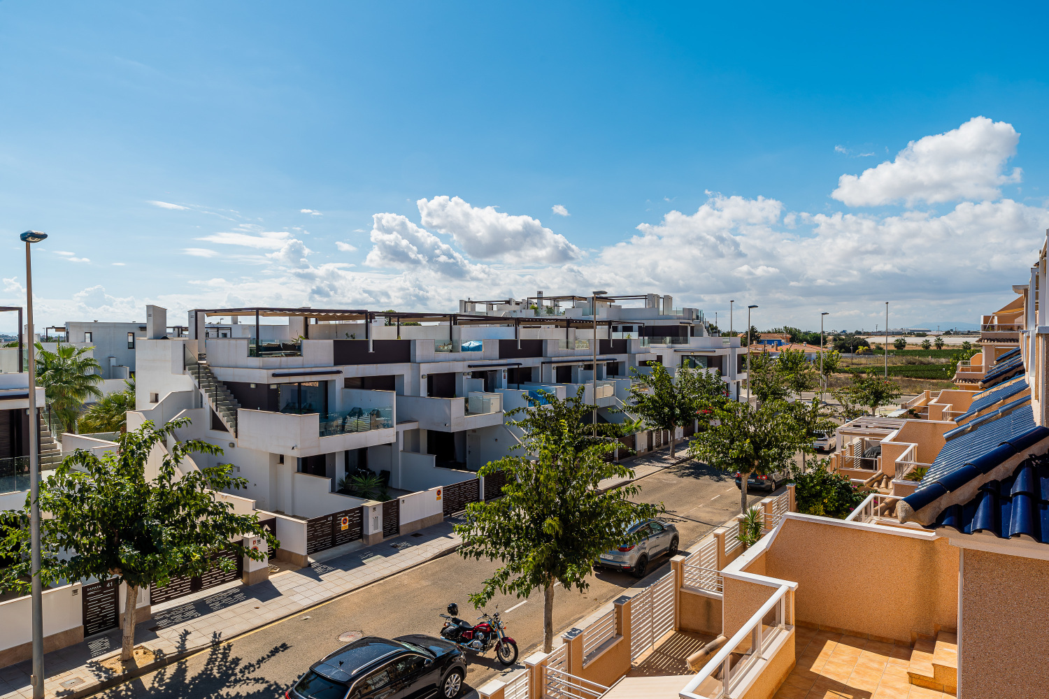 Gladiolo 52 - Pilar de Horadada (34).jpg