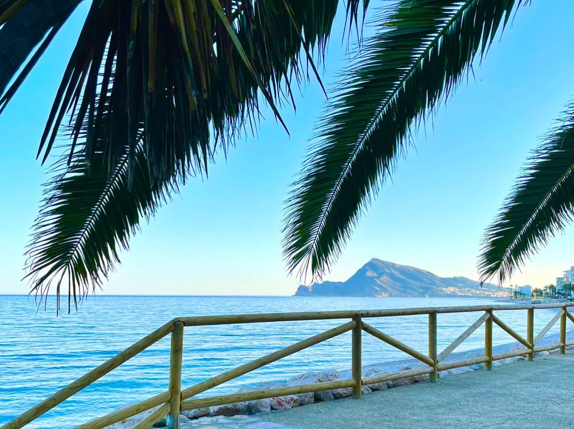 WhatsApp Image 2022-04-29 at 19.54.46.jpeg