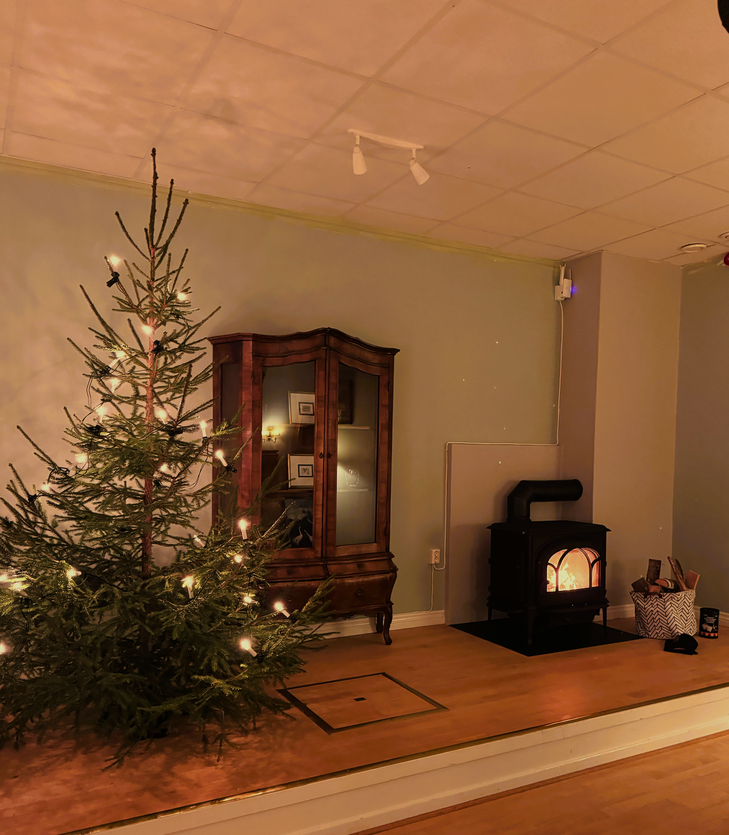 Lindeskog Fireplace (2).PNG