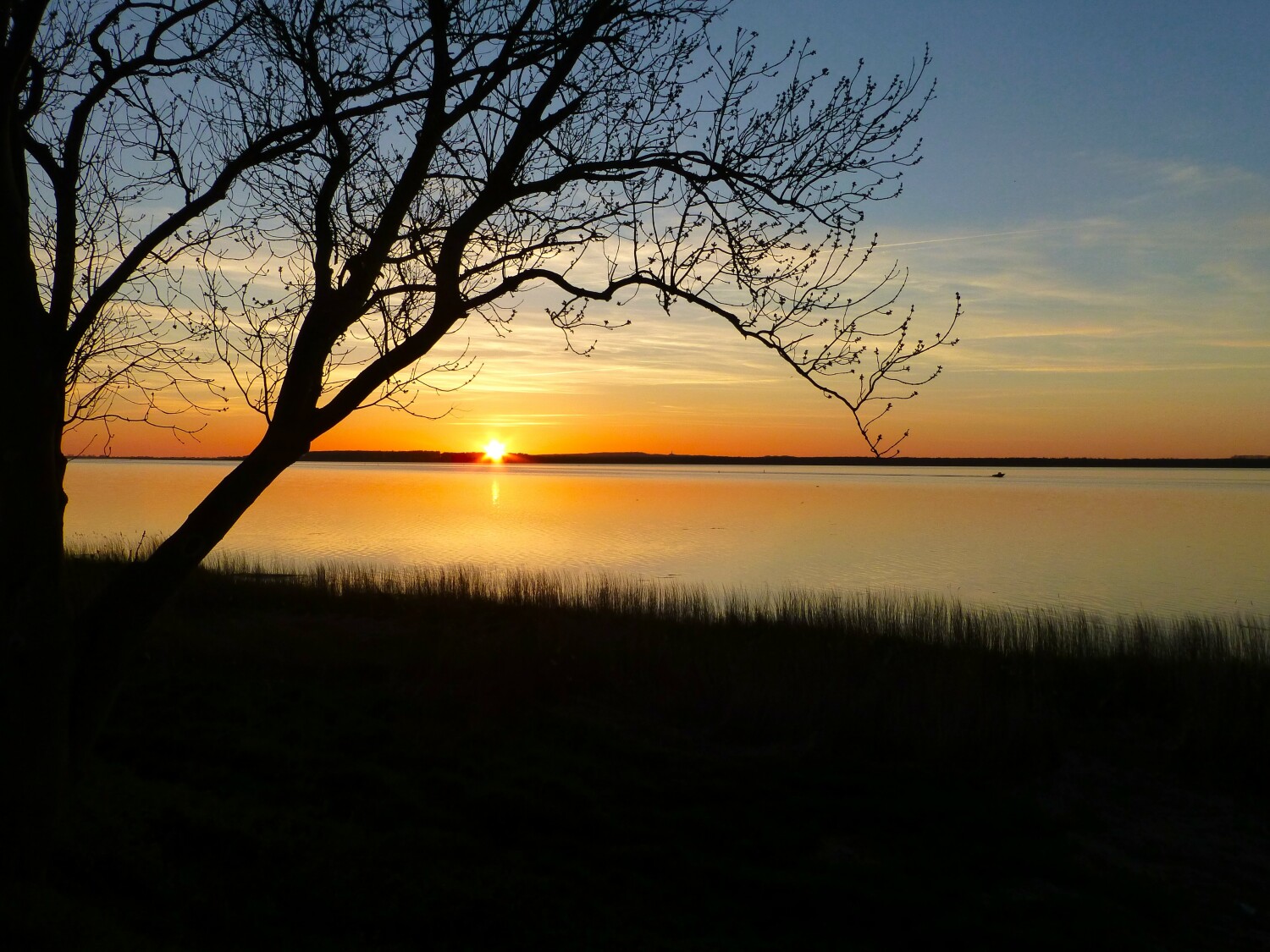 Blick nach Hiddensee - in bereits ca. 300 m  Entfernung.jpg