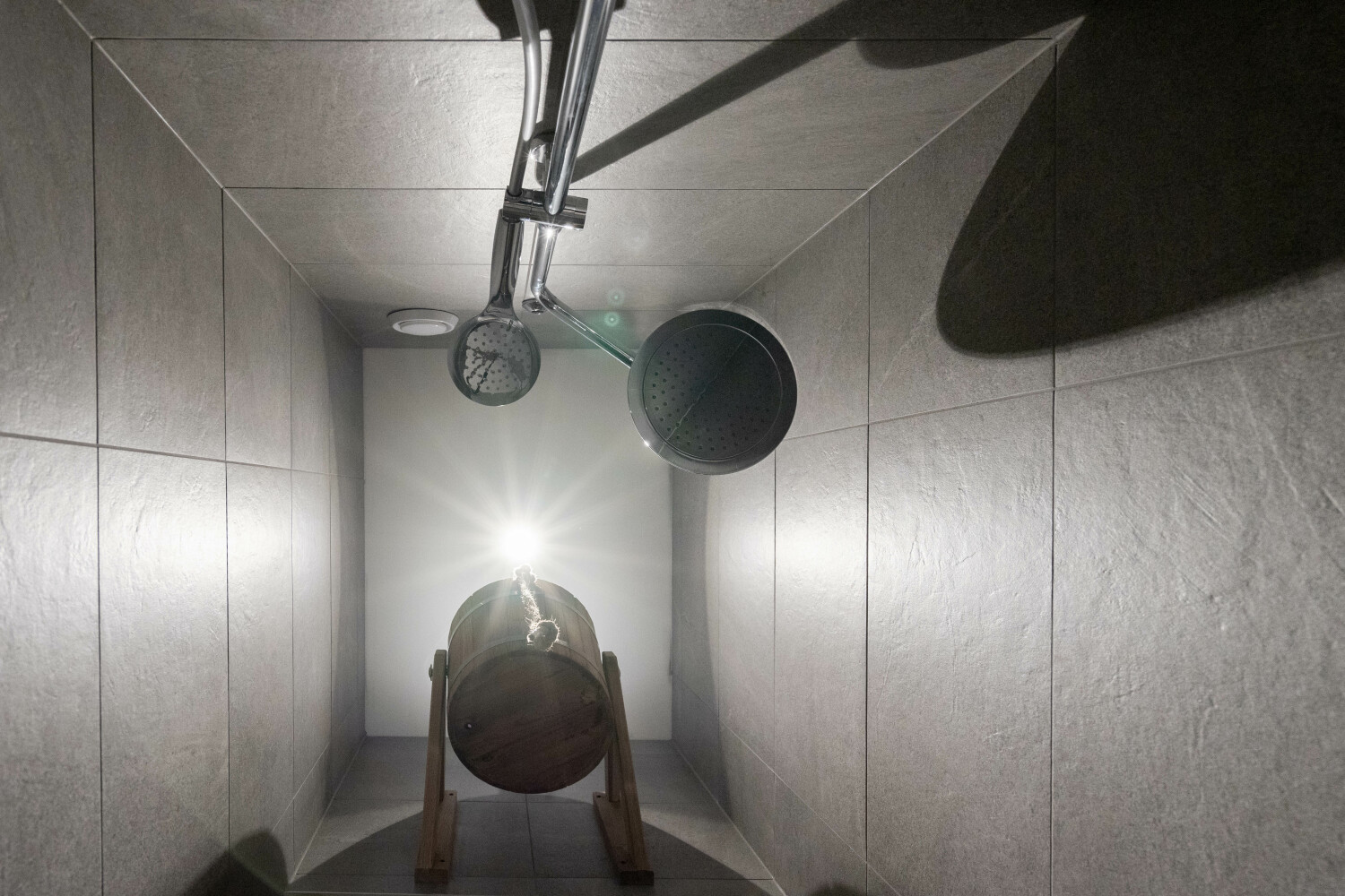 Bridge into the Nature Web-02856.jpg