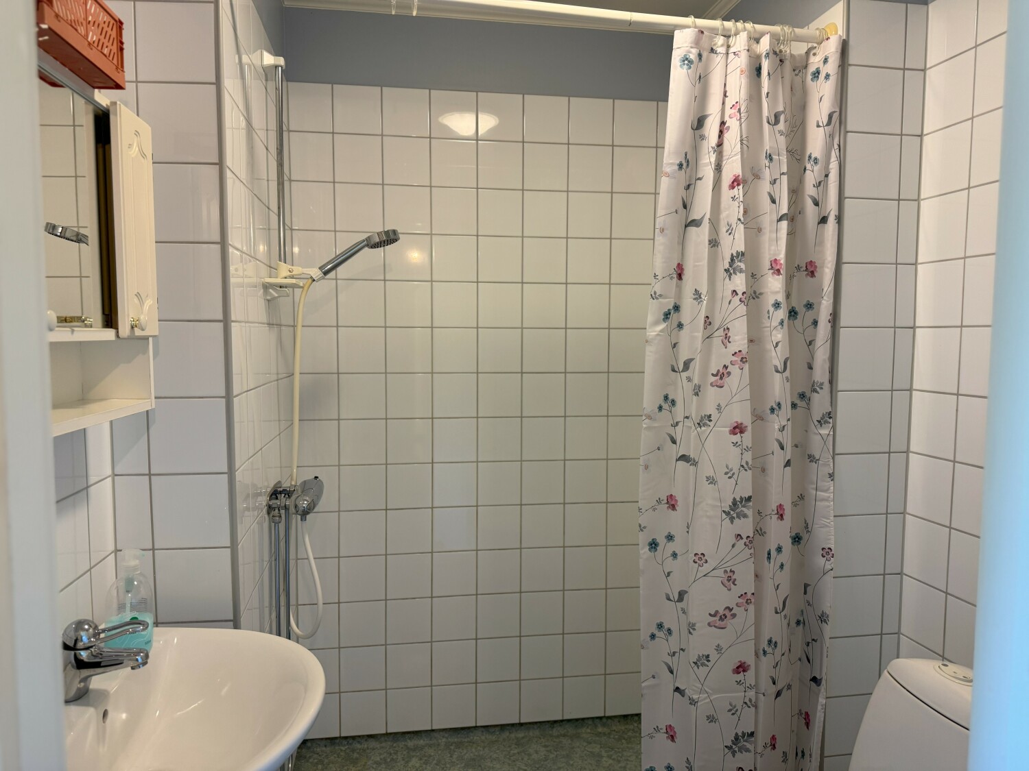 Animskogs Kyrkskola Apartment Björk - bathroom.jpeg