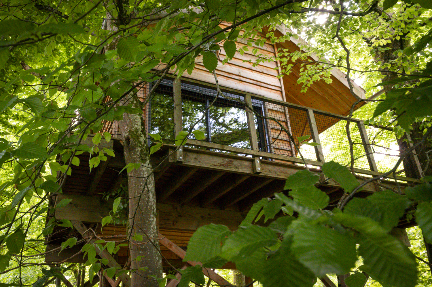 pat' de l'ours-16.JPG