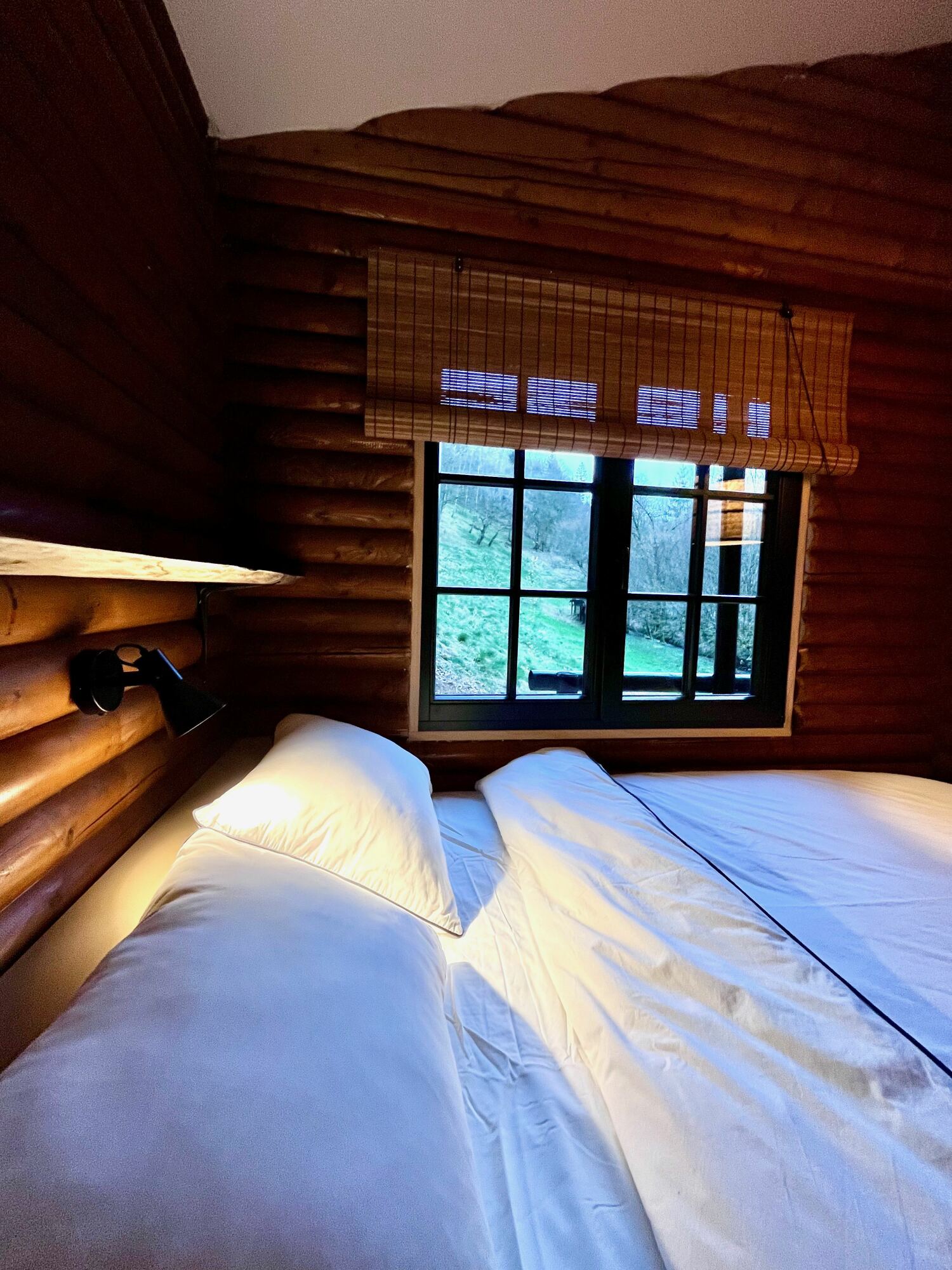 FullSizeRender (1).jpeg