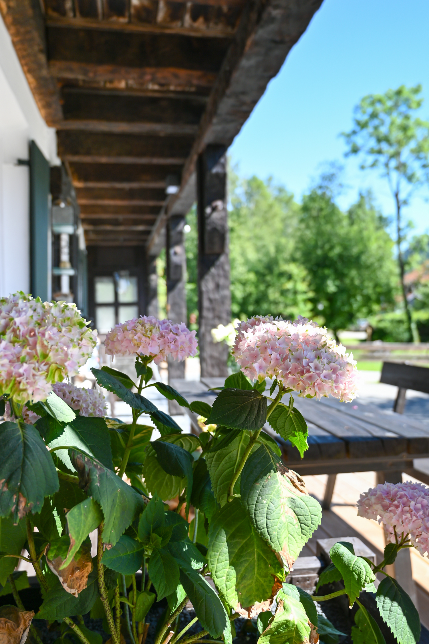 H27 Blumenblick vom Balkon.jpg