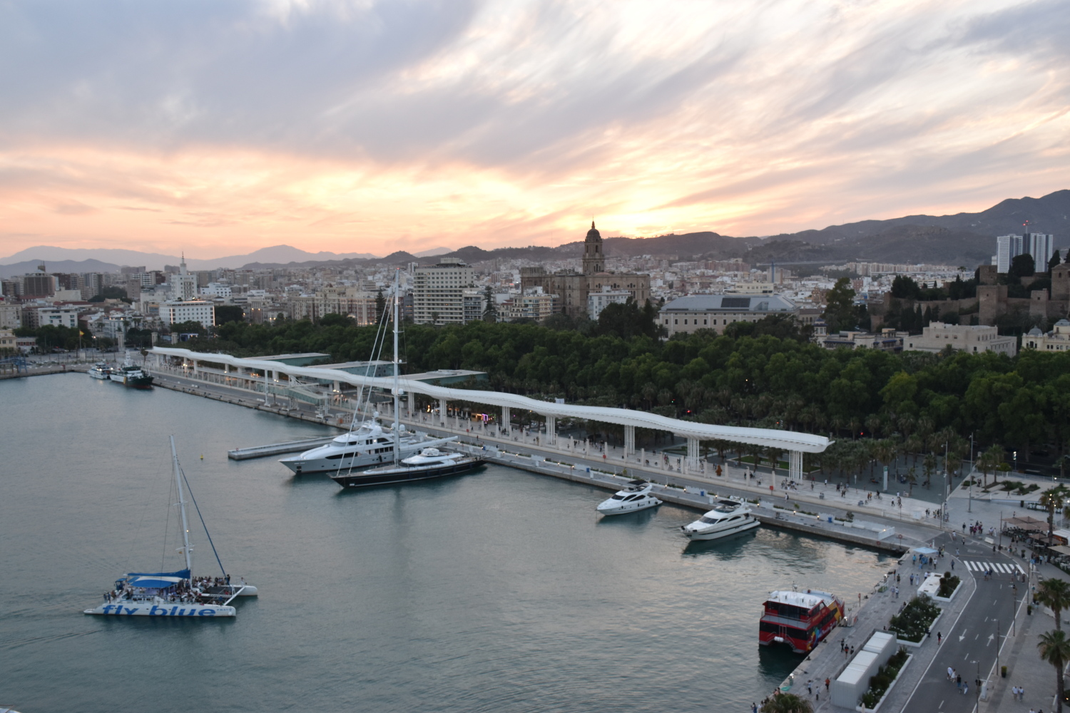 2023-06-11 20.30.45.jpg