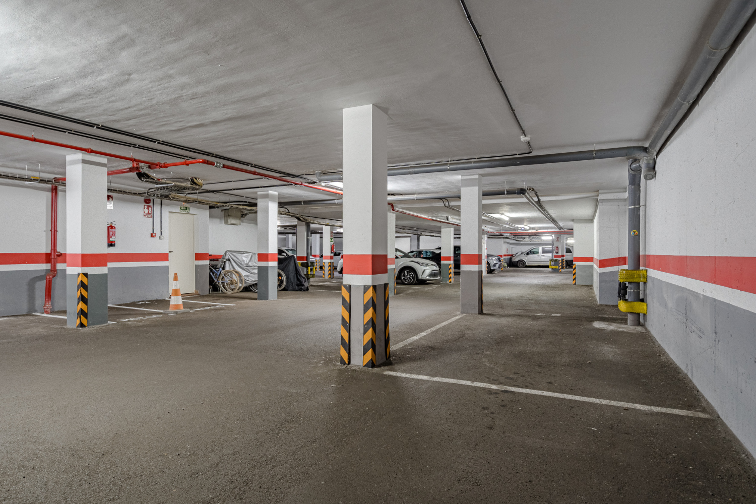 20240718 - 25 - Elfida K - Palm Mar-1.jpg