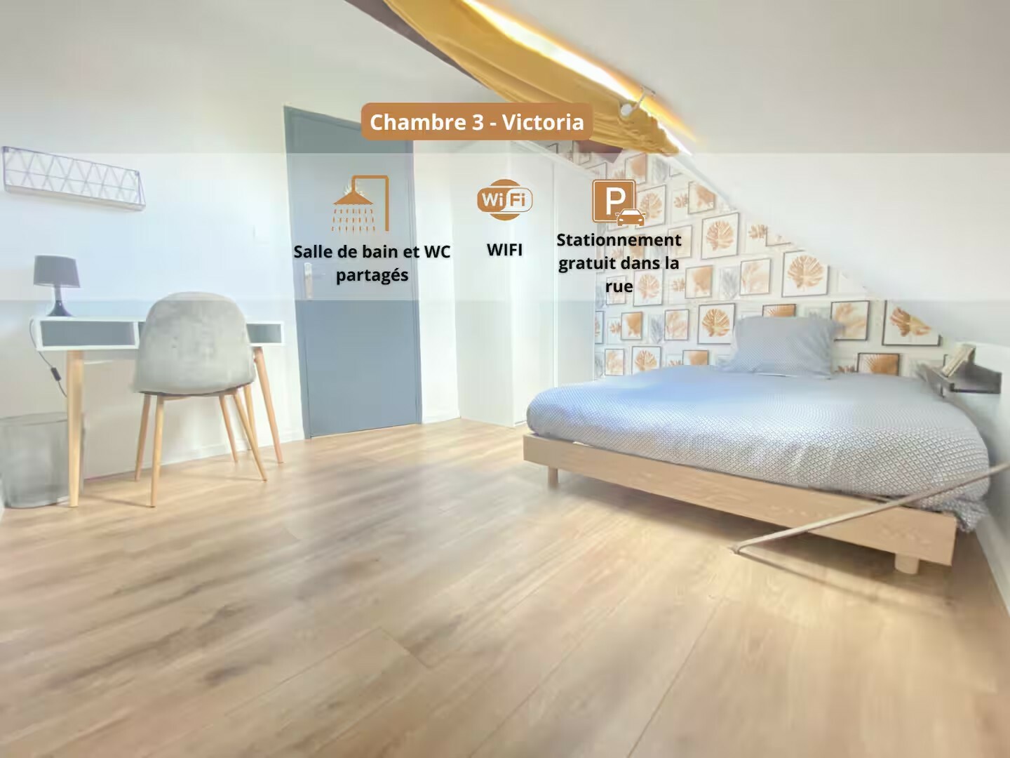 88be5c0c-7937-4ff2-9def-3f6a74a6b9cc (1).jpg