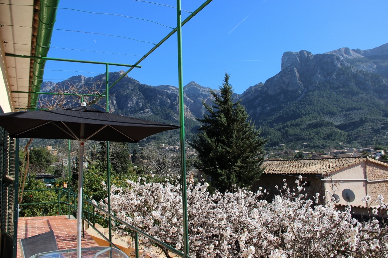 IMG_1240 (1280x853).jpg