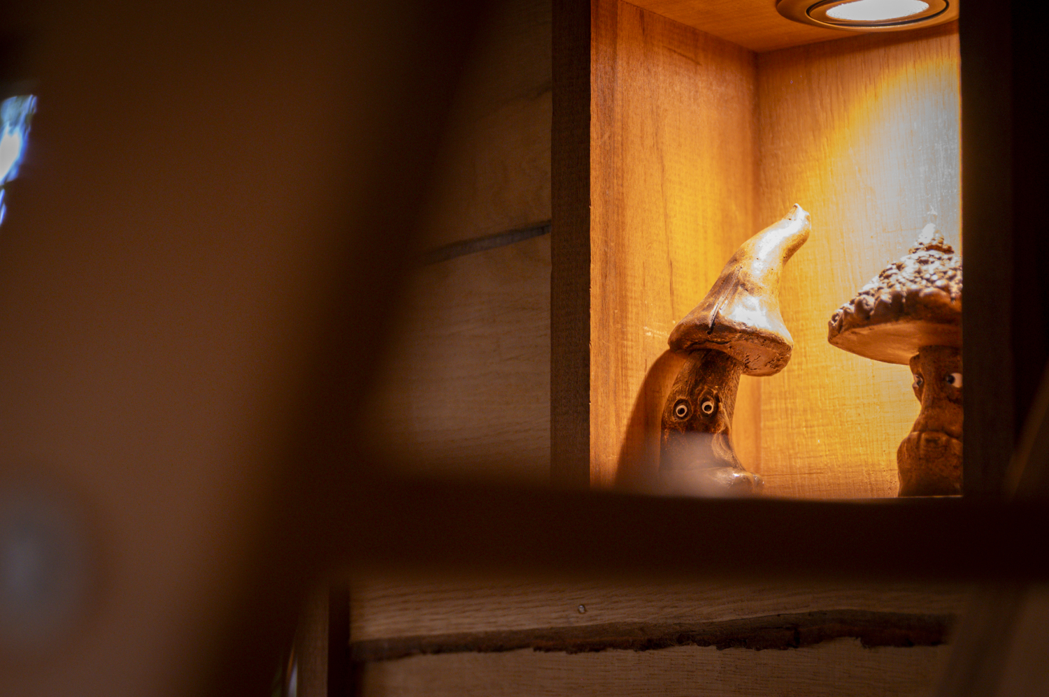 pat' de l'ours-75.JPG