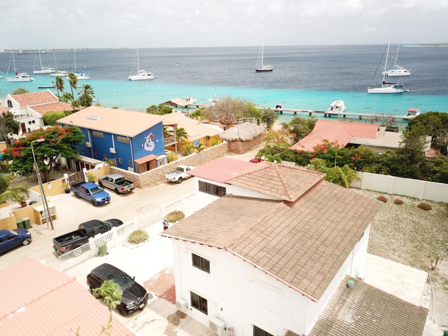 Drone overzicht achterkant woning met uitzicht op zee.jpg