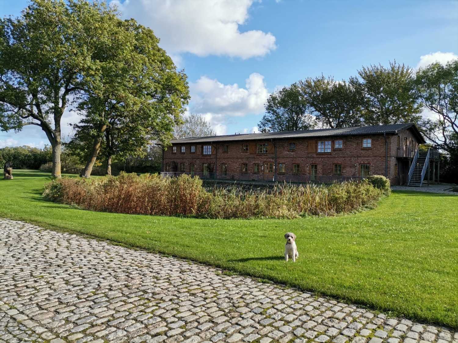 WhatsApp Image 2020-11-02 at  18.26.29.jpeg