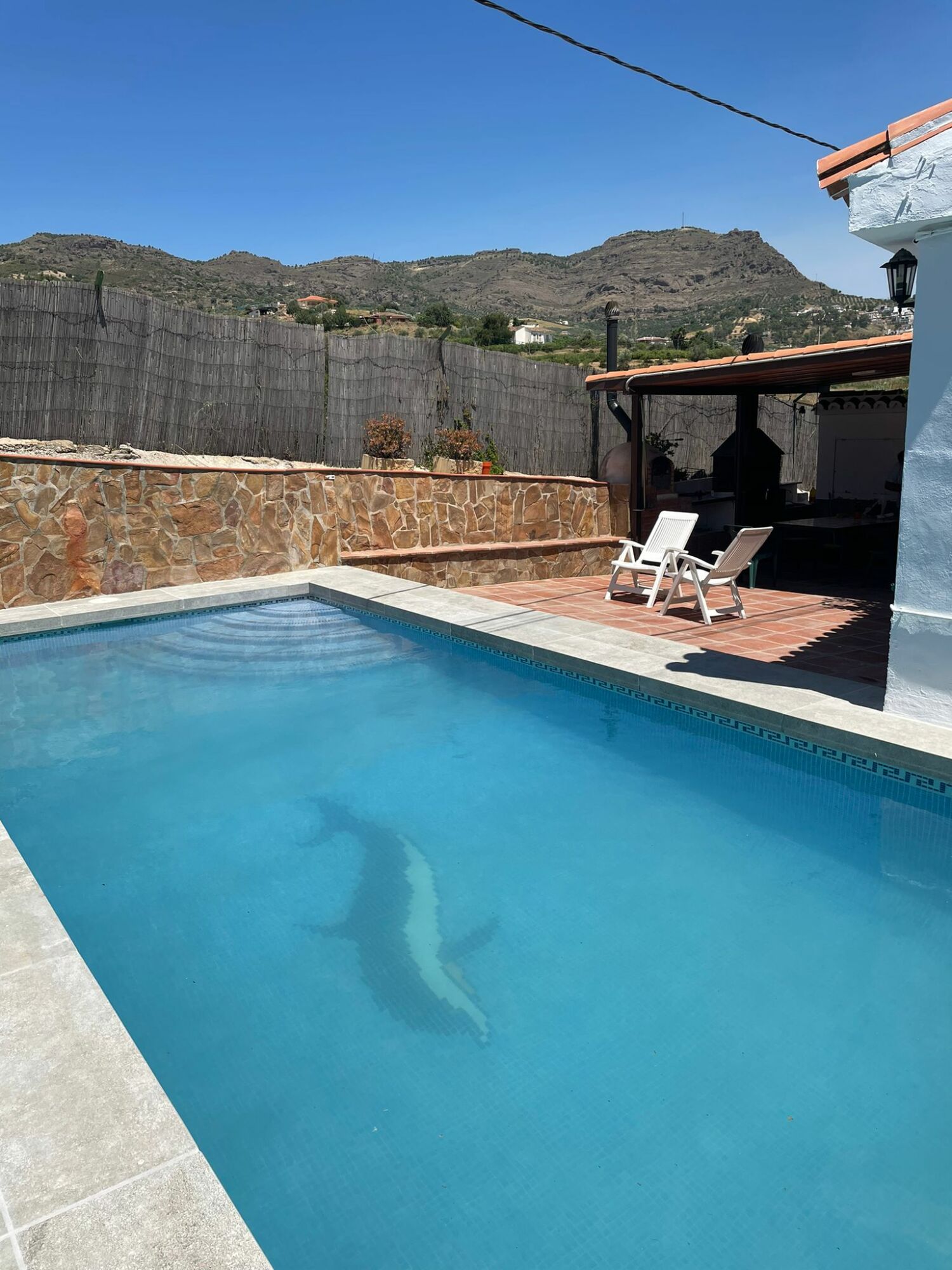 casa rural los caballos - finca canca 4.jpeg