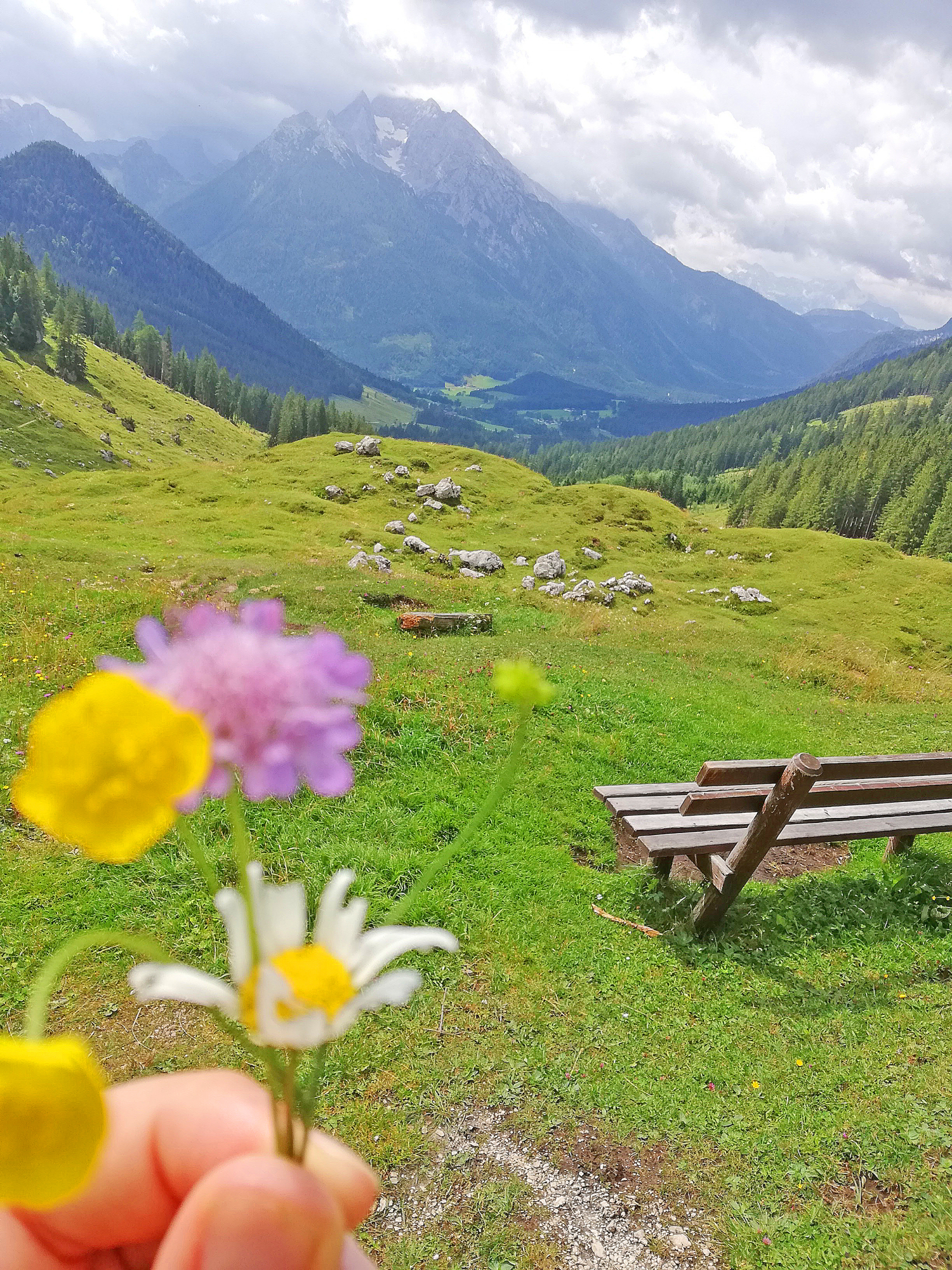 moadaualm bankerl bearbeitet .jpg