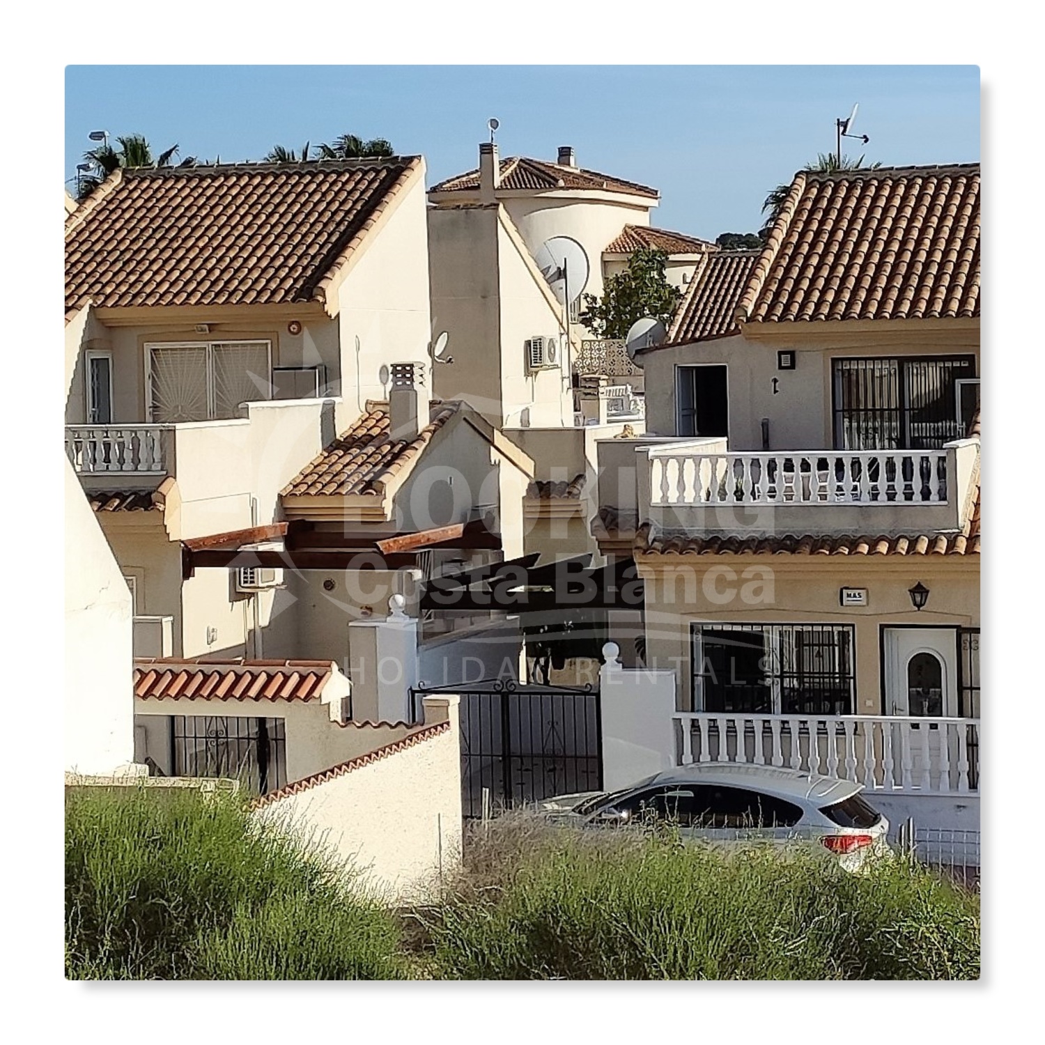 AL046 14 04 21 New Phototastic Collage.jpg