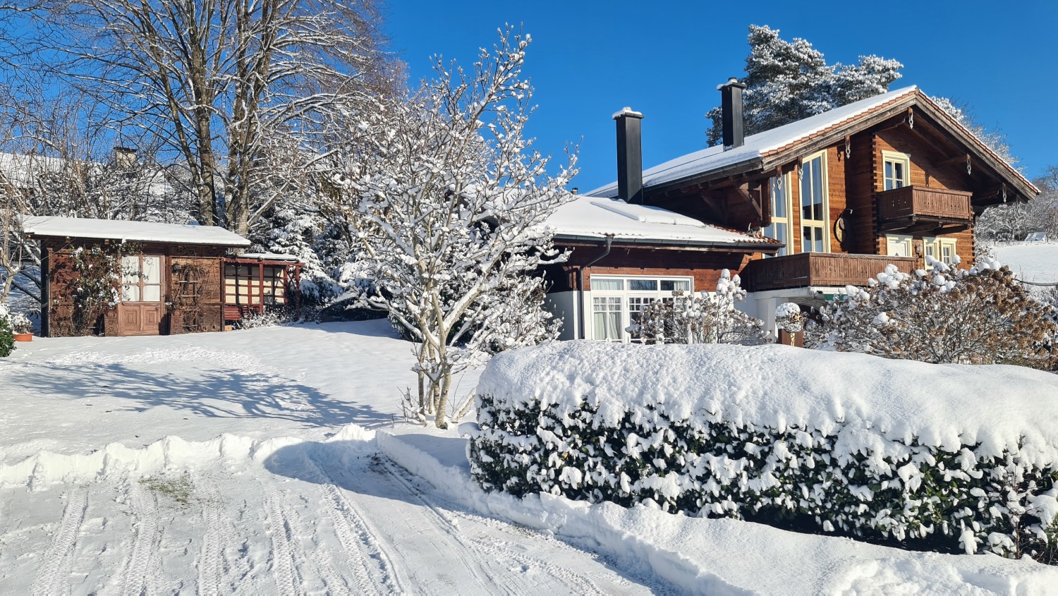 20260111_105635 (002).jpg