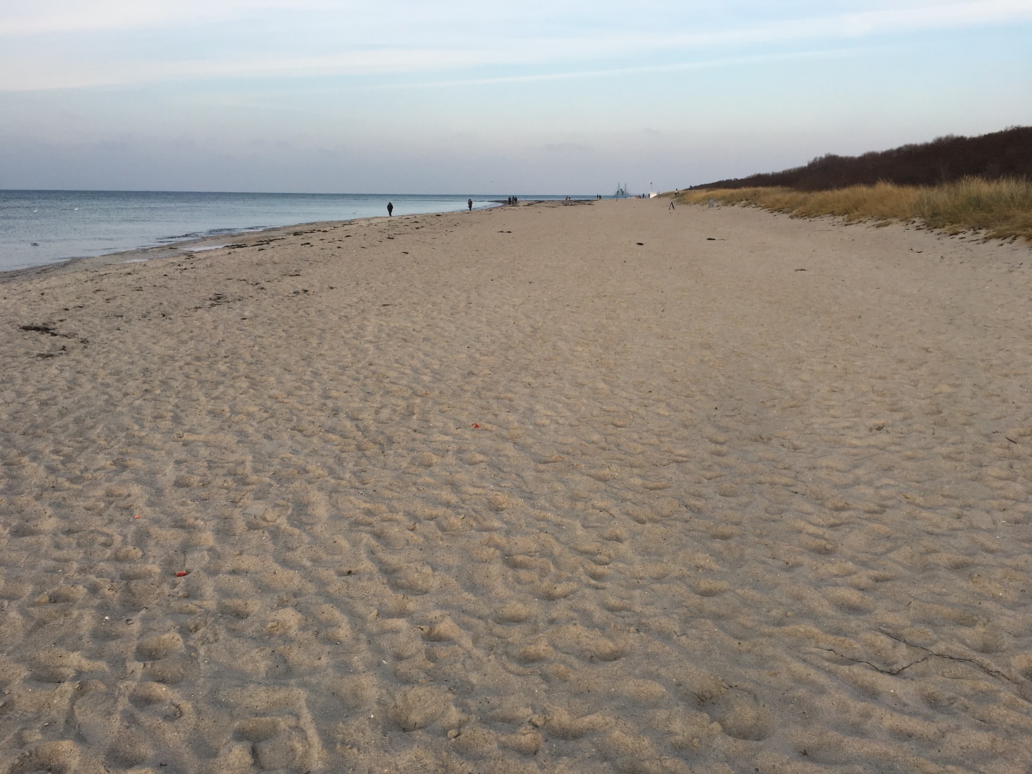 2016-01-03 14.11.03.jpg