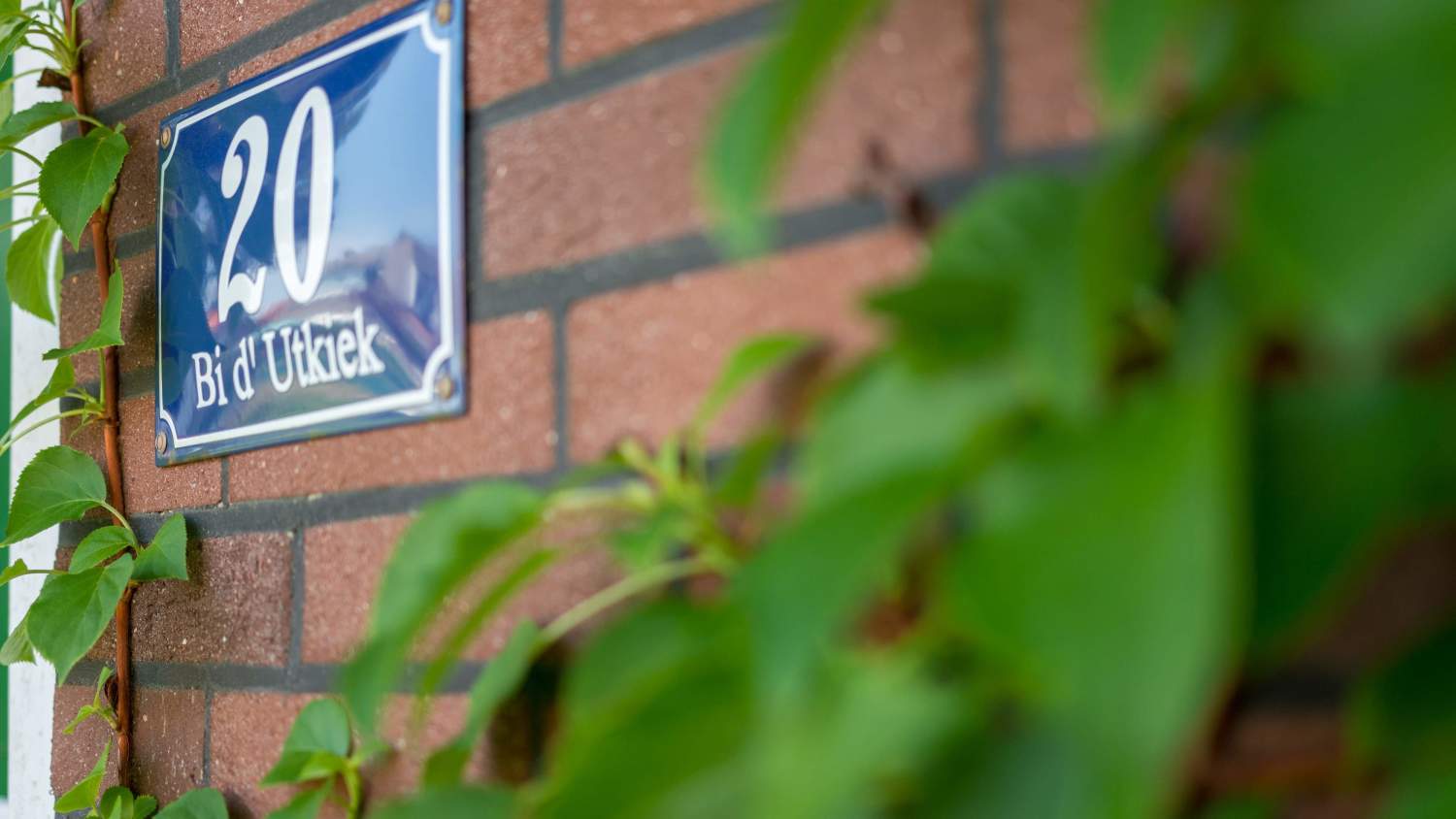 Photo Resizer 2021_08_30_01_09_02.jpg