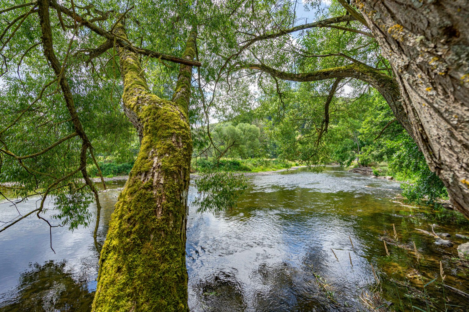 Marcourt web-04983.jpg