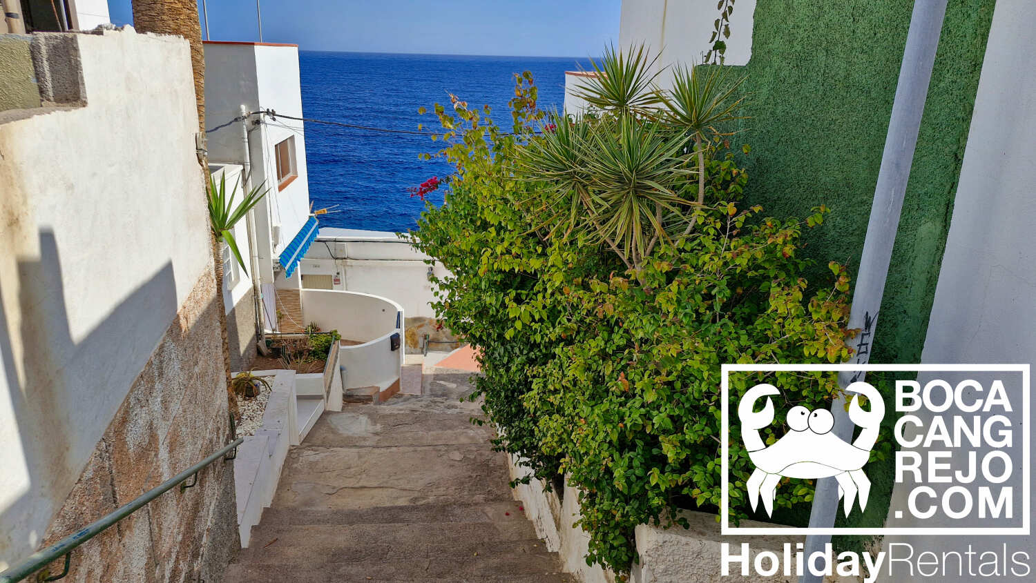 Bocacangrejo Rentals BC8 (24).jpg