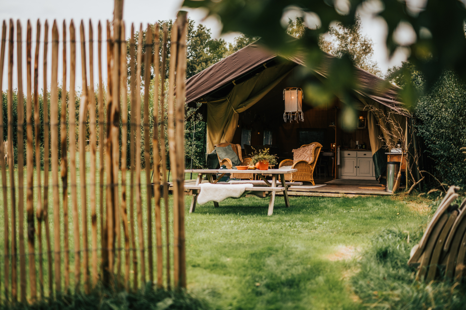 Thebrandwagon-26October 08, 2024174405.jpg